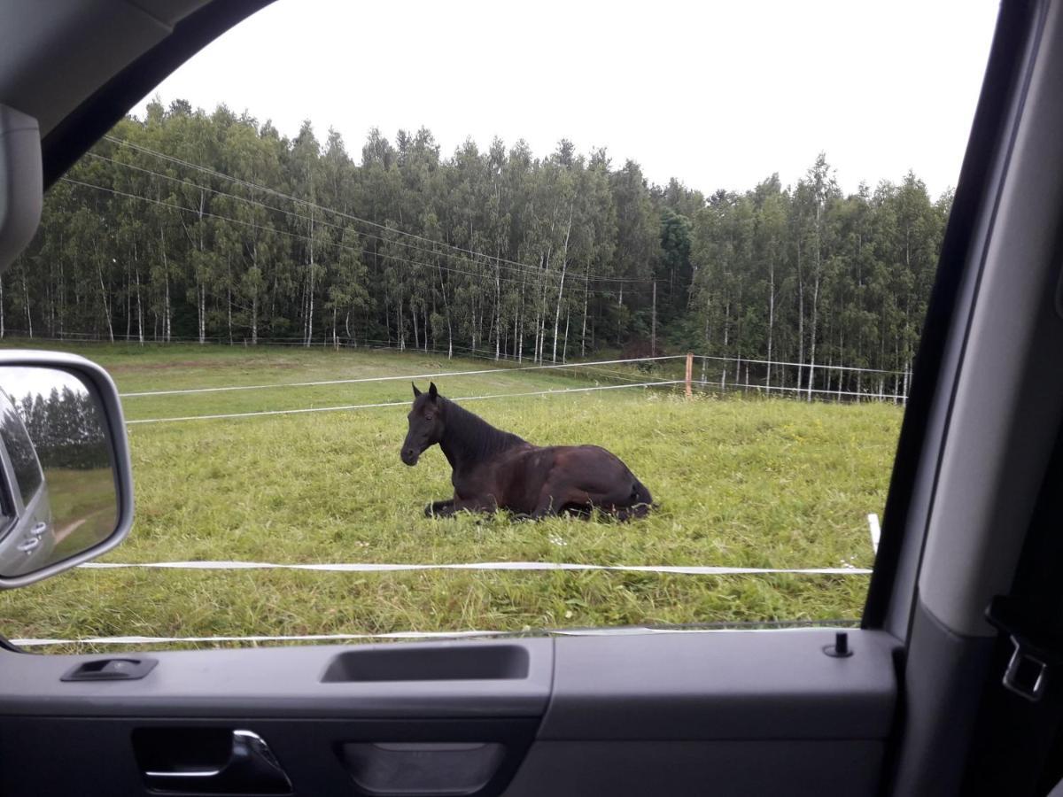 Apartamenty Lubiewo Mikołajki Exteriör bild