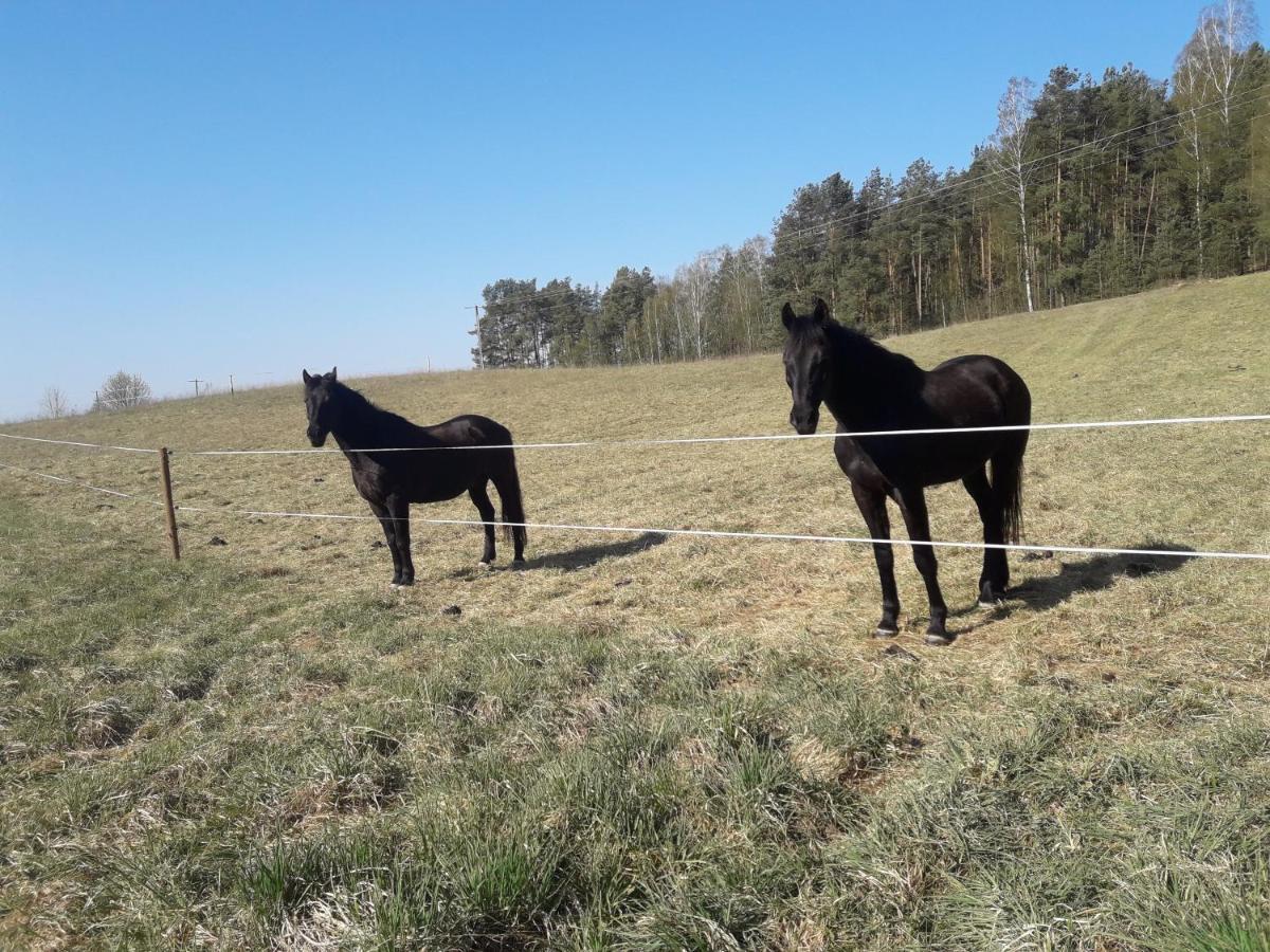 Apartamenty Lubiewo Mikołajki Exteriör bild